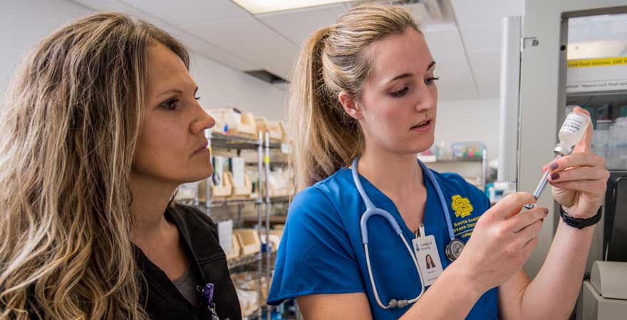 Nurse overseeing a nursing student drawing a vial of medicine