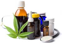 Marijuana leaf isolated on white with bottles of cannabis oils and a stethoscope behind it.