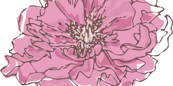 Pink flower graphic