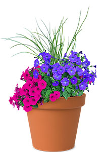 Patio flower pot