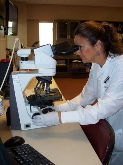 Certified Laboratory Technologist Kathy Sebert-Bortnem inspects a sample under a microscope.